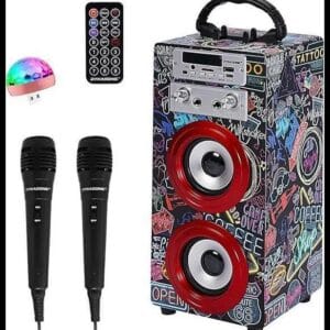 Karaoke Portátil DYNASONIC (025-21 luz) Maquina de Karaoke con 2 Micrófonos, Altavoz Bluetooth, Luz USB incluida, Lector USB y SD, diseño Exclusivo, Regalo Original